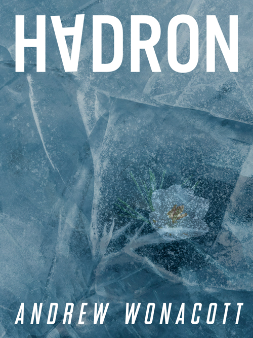 Hadron Book Cover With A White Flower Beneath Ice