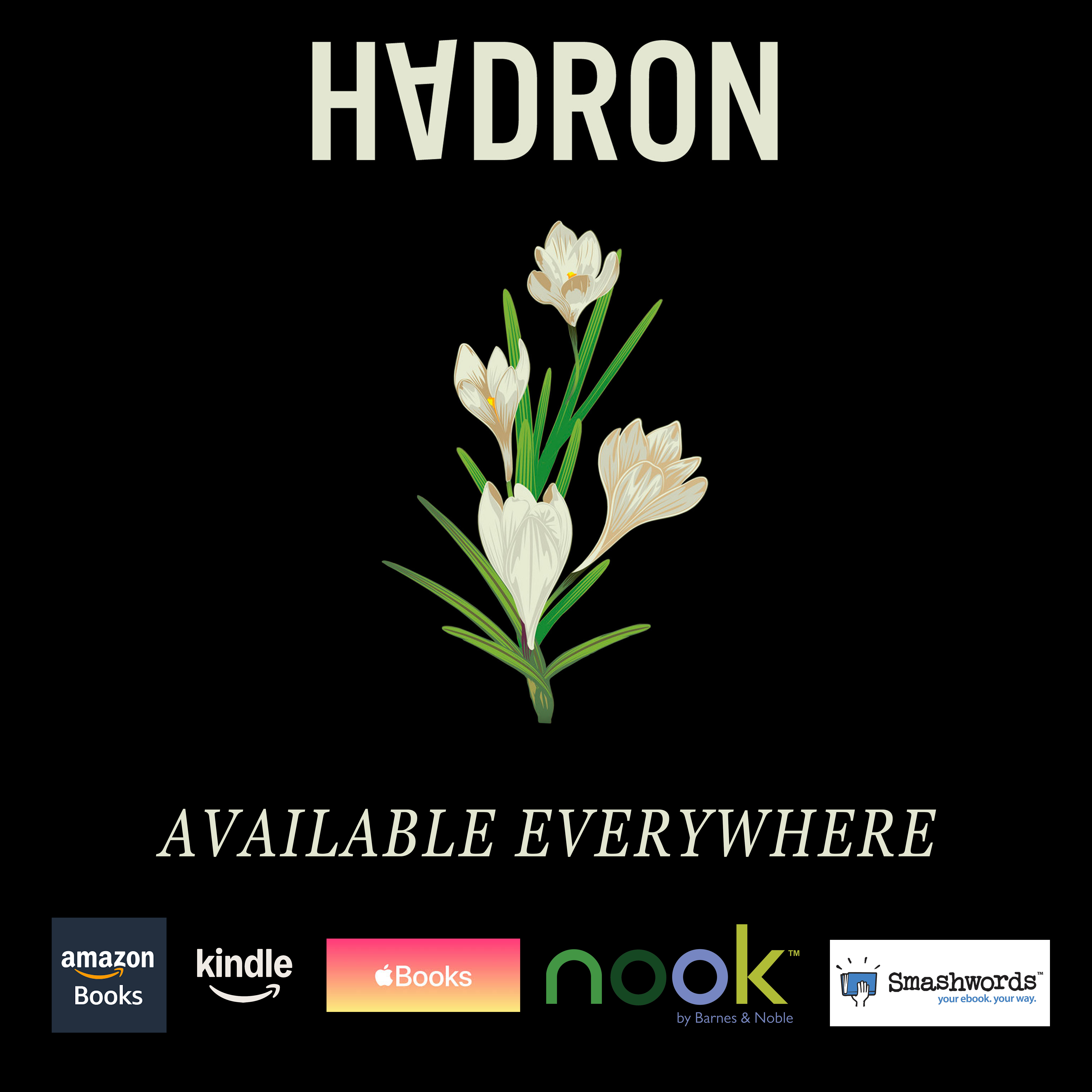 Hadron Book Cover