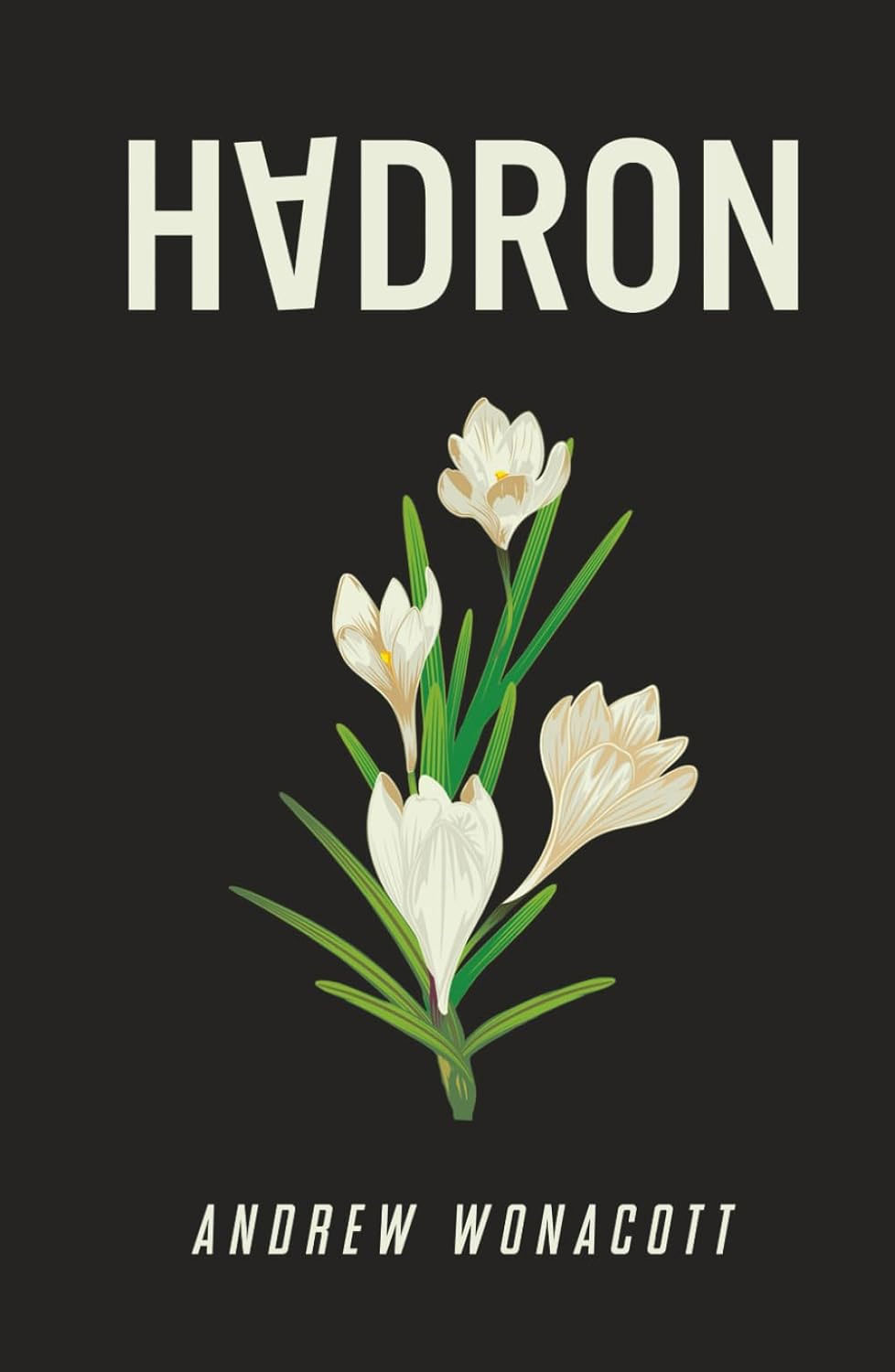 hadron-book-cover